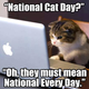 Illustration for article titled Its National Cat Day!